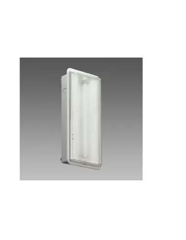 Disano 11253000 safety 616 s and 1 hour fl8 cell gray